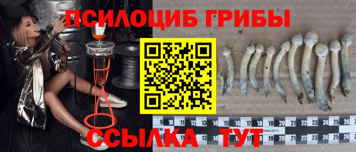 Амфетамин Алейск