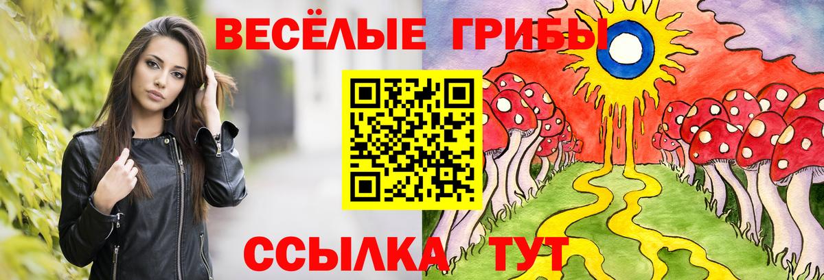 Псилоцибиновые грибы GOLDEN TEACHER Алейск