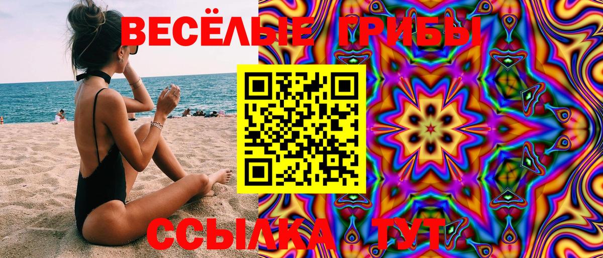 Псилоцибиновые грибы ЛСД  Вход с VPN  Алейск 